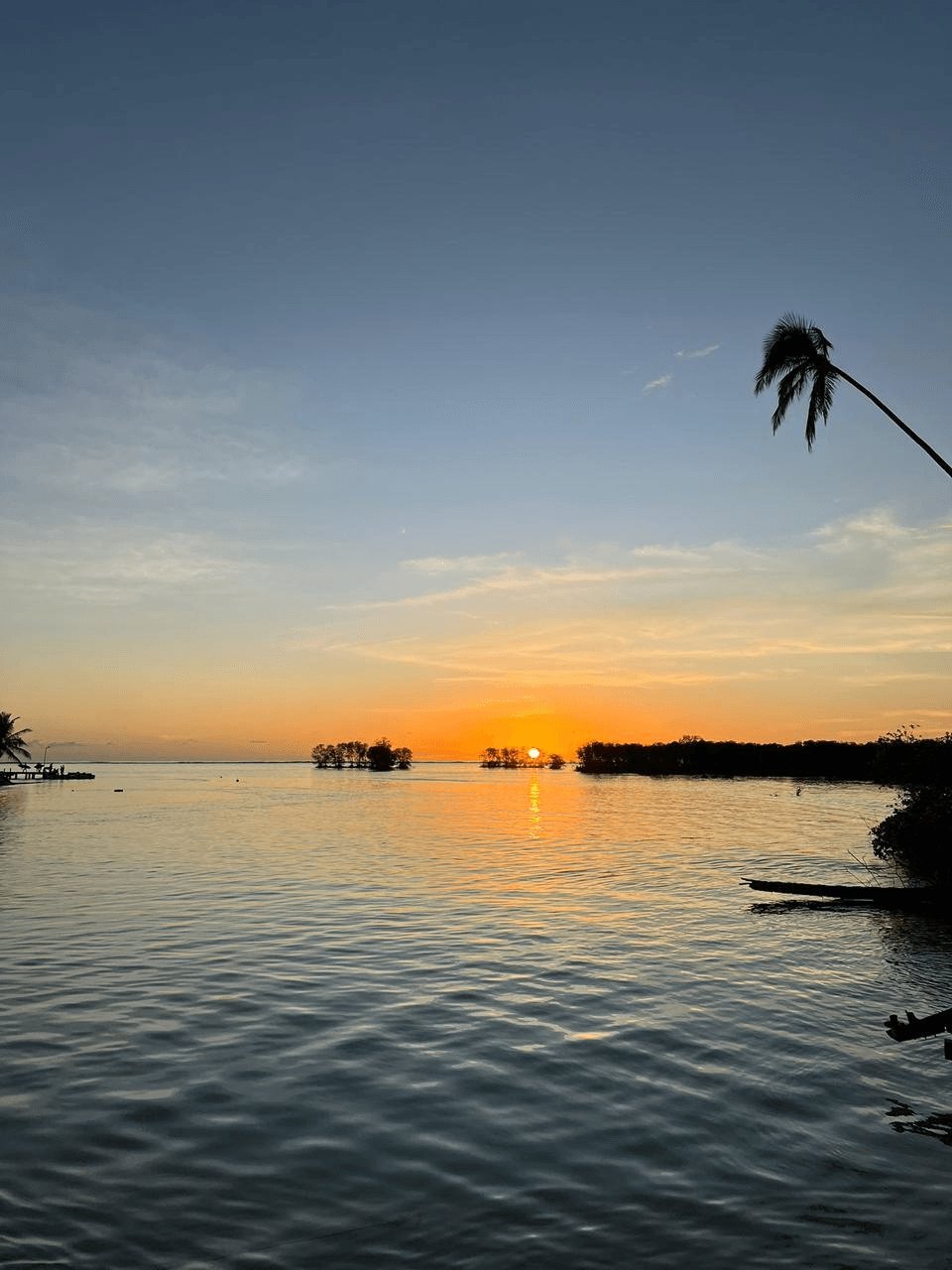 Mentawai waves background