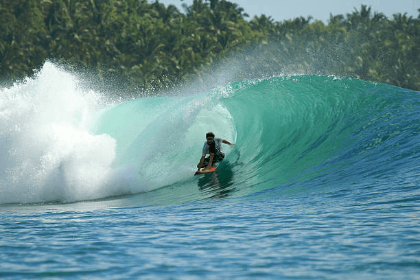 Mentawai Surf